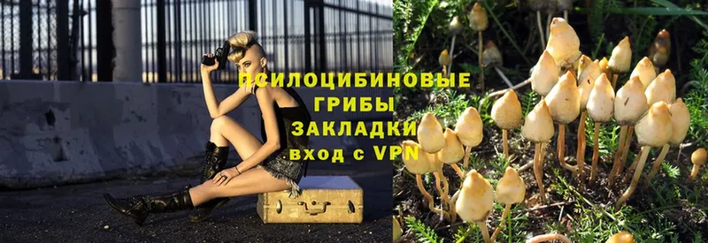 продажа наркотиков  Новочебоксарск  Галлюциногенные грибы Magic Shrooms 